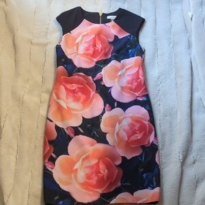 Calvin Klein Black and Pink Floral Mini Dress